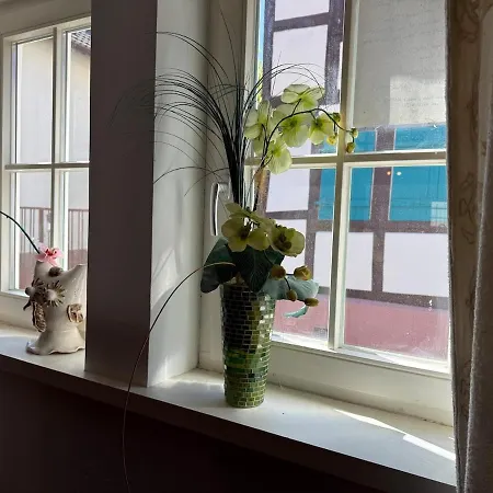 Bella Haus Close To Frankfurt Messe 4*