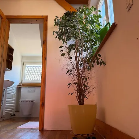 Bella Haus Close To Frankfurt Messe Dreieich