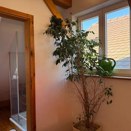 Konukevi Bella Haus Close To Frankfurt Messe