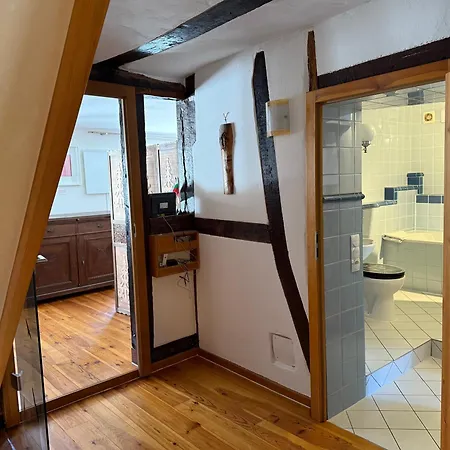 Bella Haus Close To Frankfurt Messe 4* Драйайх