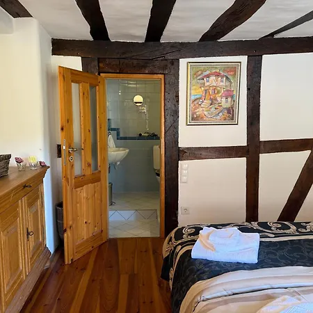 Bella Haus Close To Frankfurt Messe Драйайх