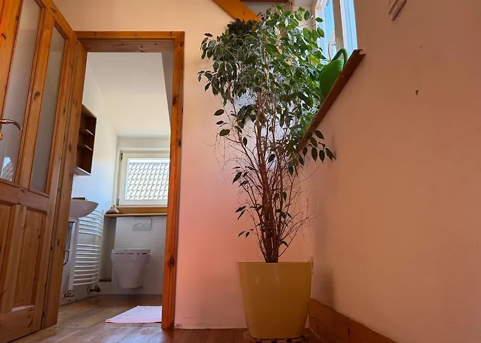 Bella Haus Close To Frankfurt Messe Драйайх