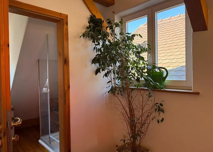 Гостевой дом Bella Haus Close To Frankfurt Messe