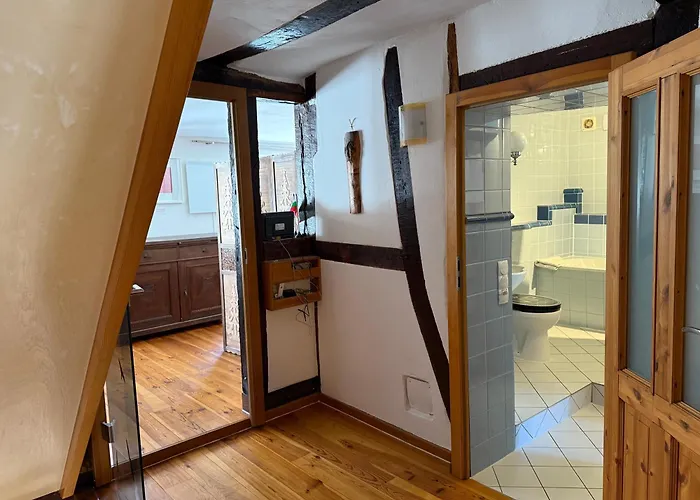 Bella Haus Close To Frankfurt Messe 4* Драйайх