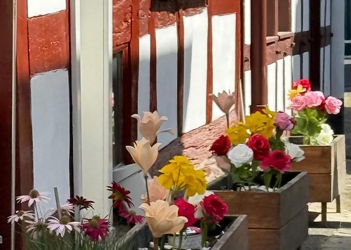 Bella Haus Close To Frankfurt Messe Гостевой дом 4*