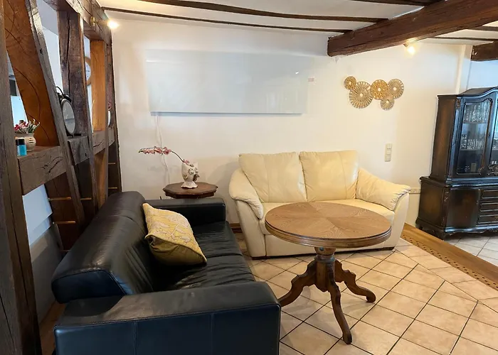 Bella Haus Close To Frankfurt Messe 4* Драйайх